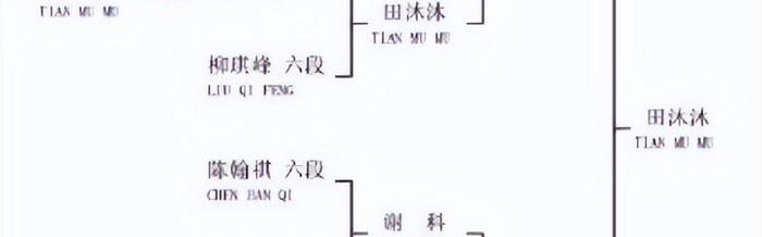像一个AI，14岁中国围棋四段少年闯进烂柯杯32强，全盘无恶手