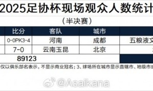 官方网站-2025足协杯现场观众人数统计（半决赛） ​​​